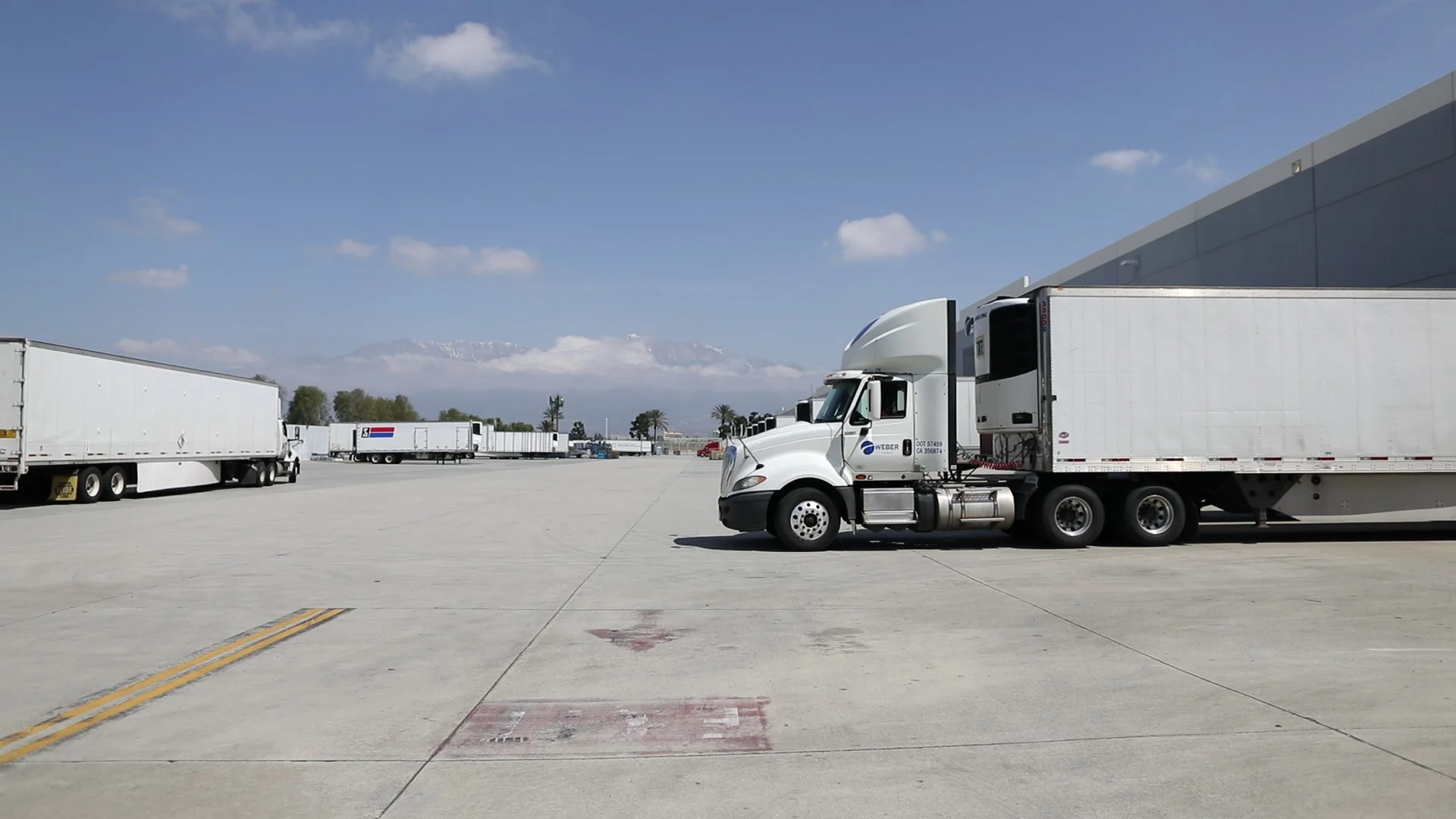 Biniuaru Trucking LLC driver and tractor